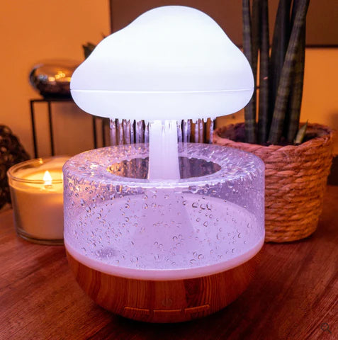 Rainfall Humidifier