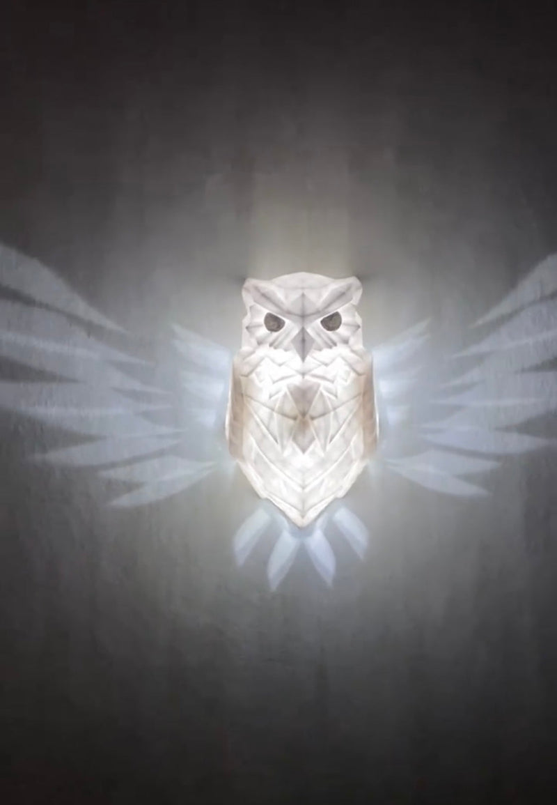 Magical owl lamp