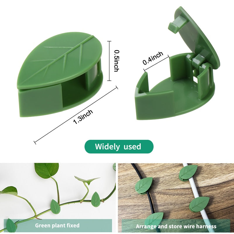 Plant Wall Clips