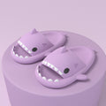Shark Slides 🦈